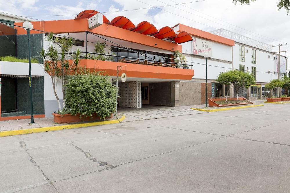 Flamingo Hotel 4*
