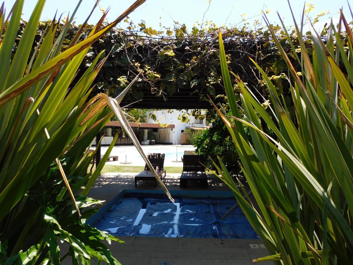 Hotel & Luna Canela Boutique 4*
