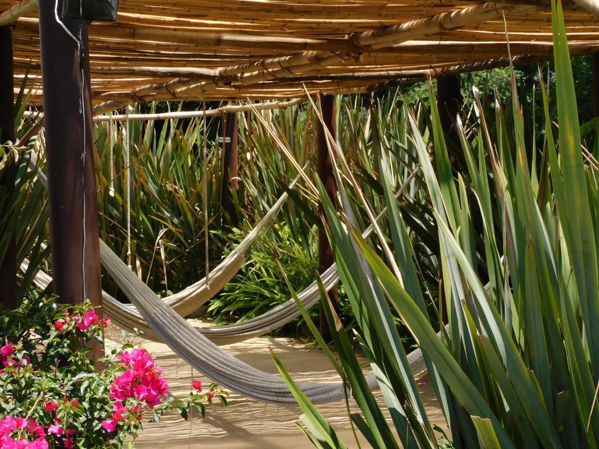 Hotel & Luna Canela Boutique