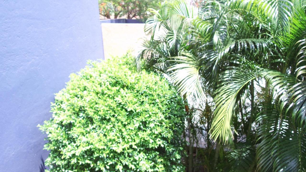 Calli Hotel Santo Domingo Tehuantepec