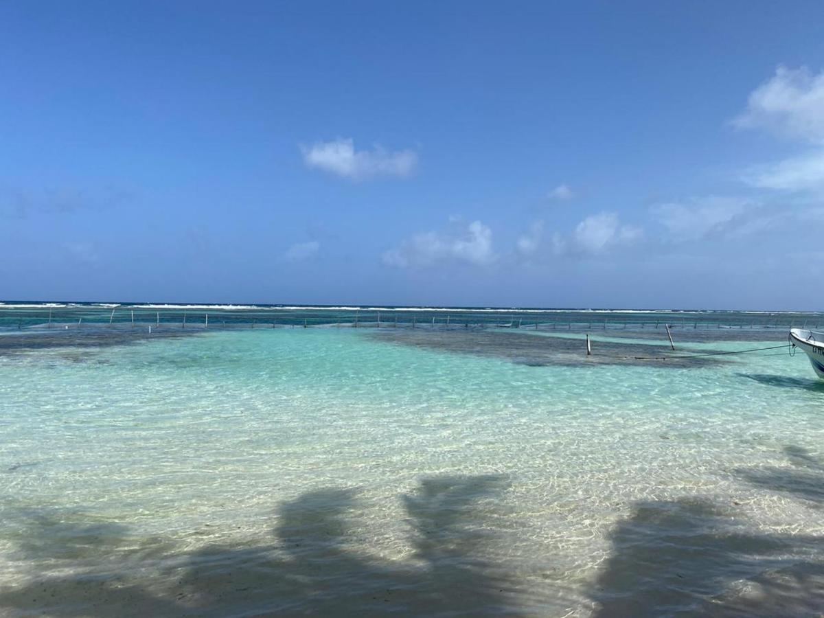 Hotel Blue Reef Frente Al Mar Mahahual