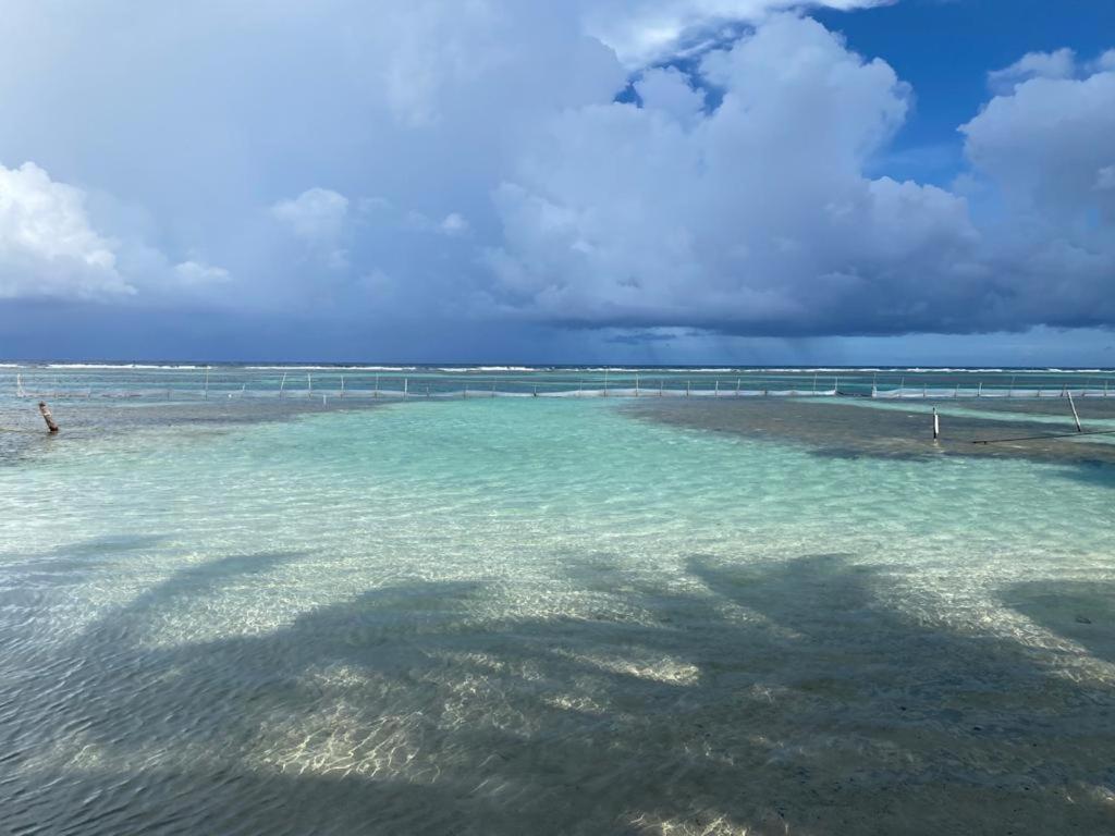 Blue Reef Frente Al Mar Hotel Mahahual