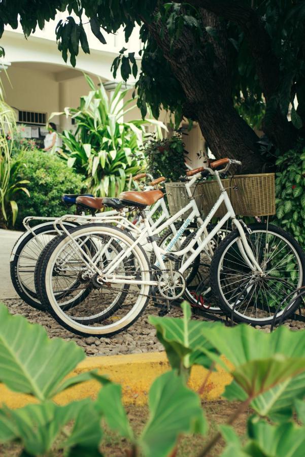 Hostel Casa Losodeli & Coworking- Adults Only *