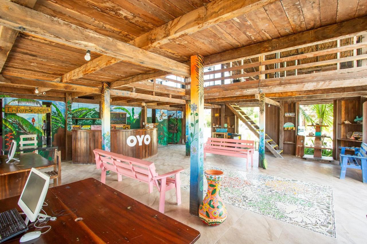 Oyo Blue Kay Hotel Mahahual