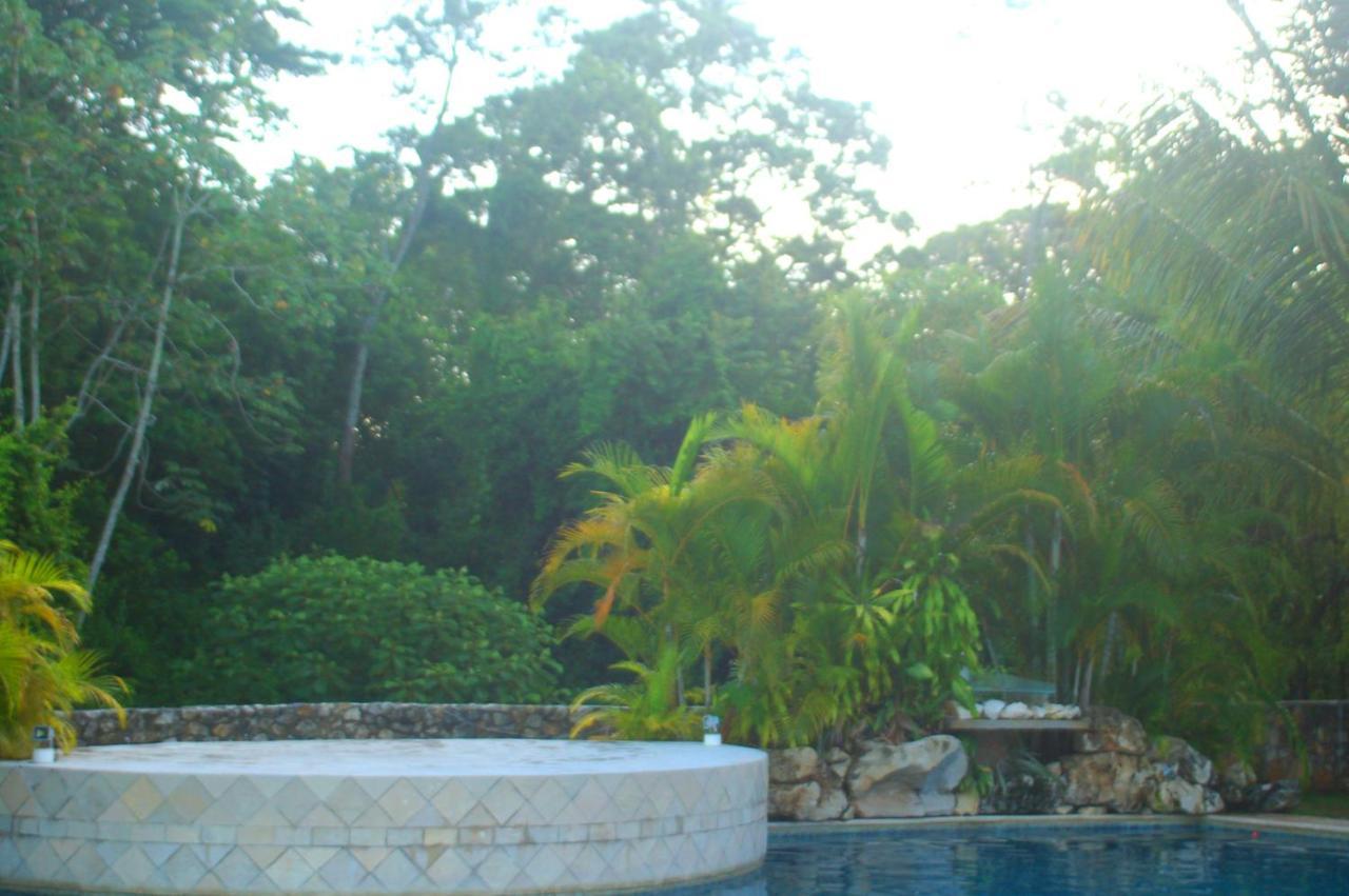 Axkan Palenque, Shows En Vivo & Gastronomia Mar Y Tierra & Travel Agency