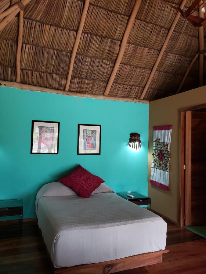 Hotel Amaca - Eco Quiimixto
