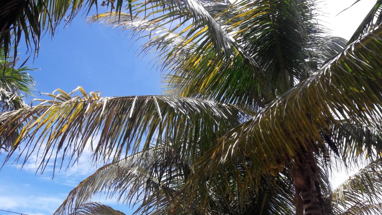 Margarita Del Sol Costa Maya 2* Mahahual