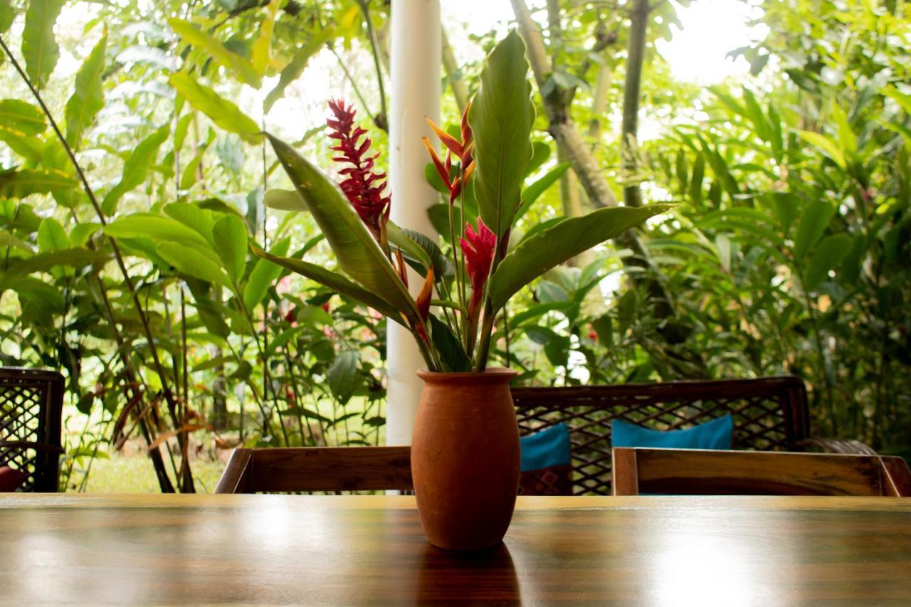 Hotel La Aldea Del Halach Huinic Palenque