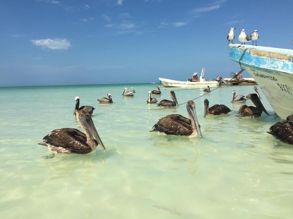 Casa Hridaya Boutique Isla Holbox
