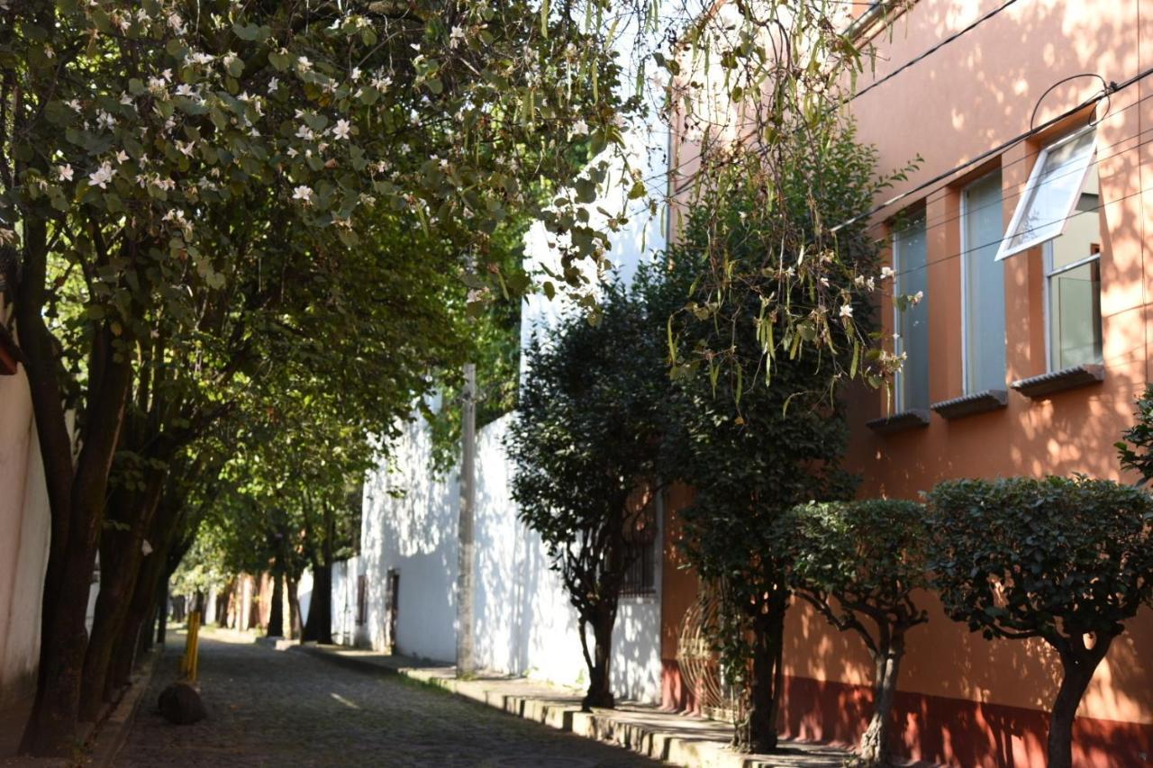 Casa Lulu Coyoacan *