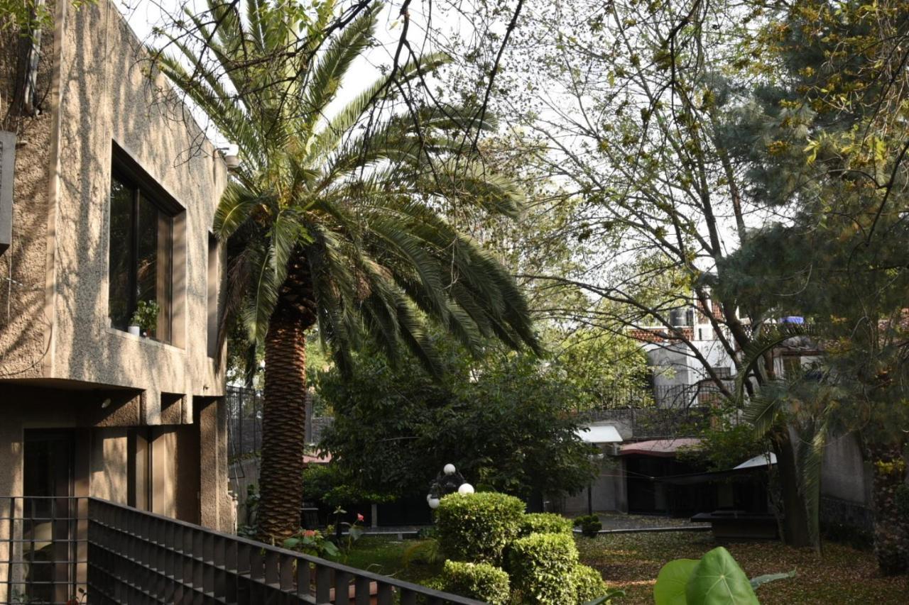 Casa Lulu Coyoacan *