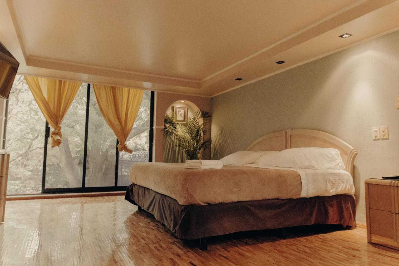 Casa Lulu Coyoacan
