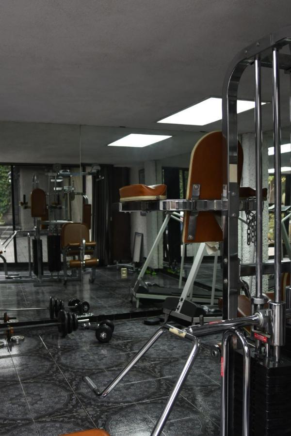 Casa Lulu Coyoacan Alvaro Obregon