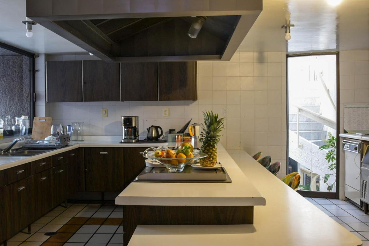 Casa Lulu Coyoacan *