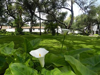 Hacienda Taboada 4* San Miguel de Allende