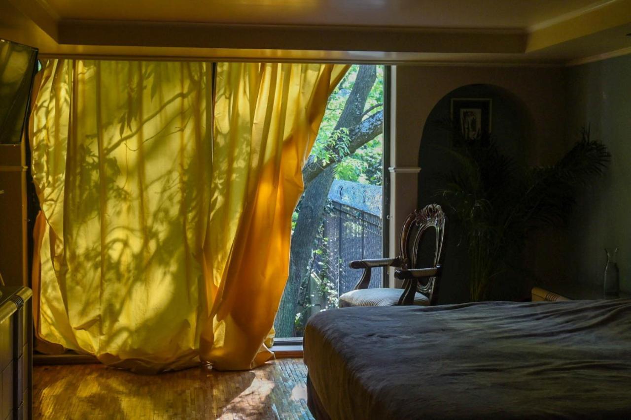 Casa Lulu Coyoacan *