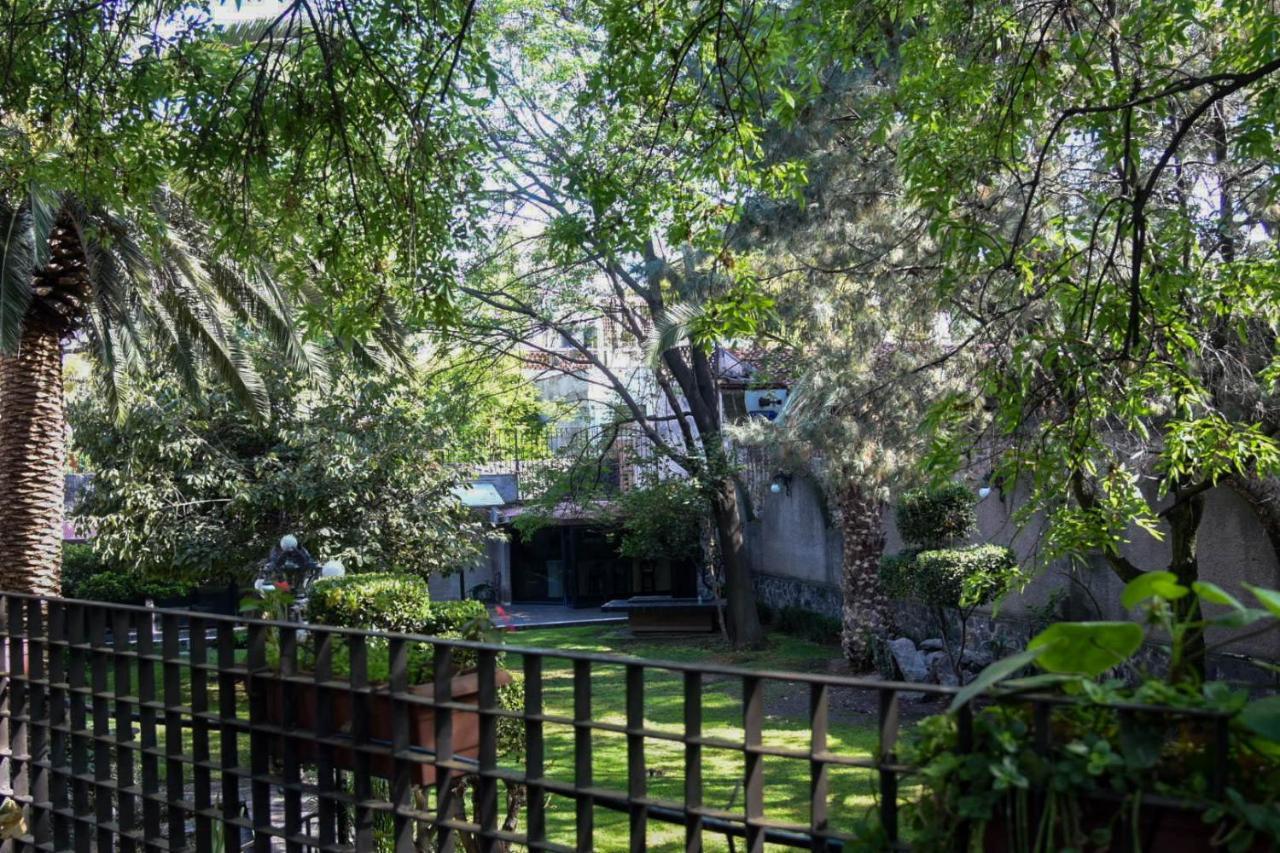 Casa Lulu Coyoacan Alvaro Obregon