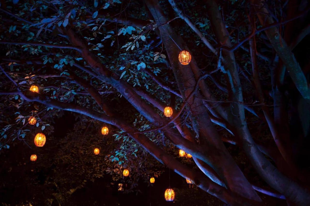 La Provence Restaurant & Boutique 2* Cuernavaca