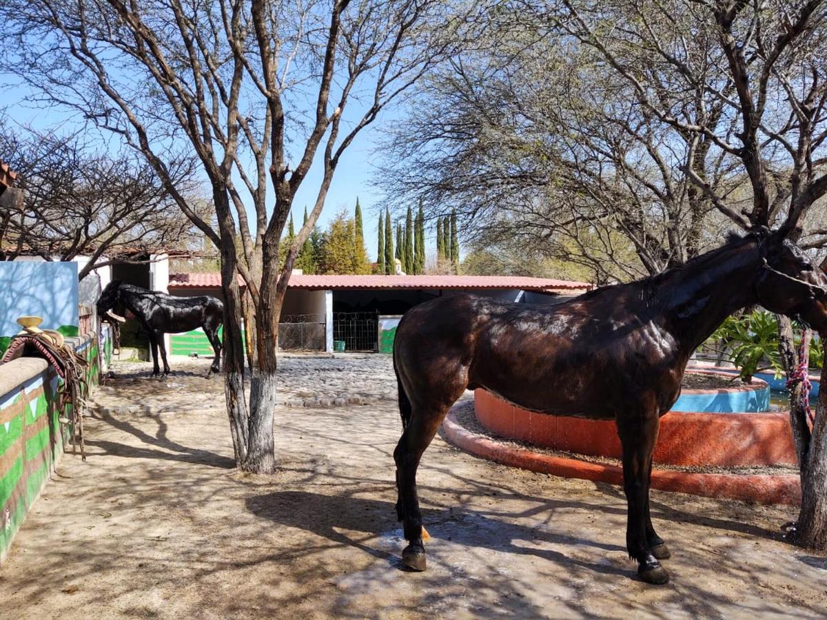 Rancho Labradores Country house *