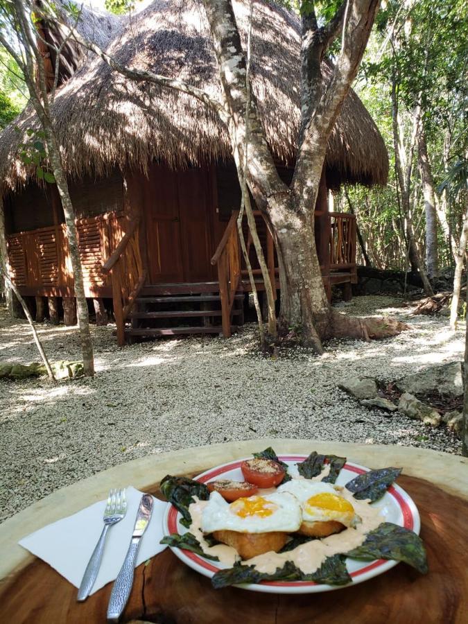 Aldea Maya-ha Con Cenotes Puerto Morelos