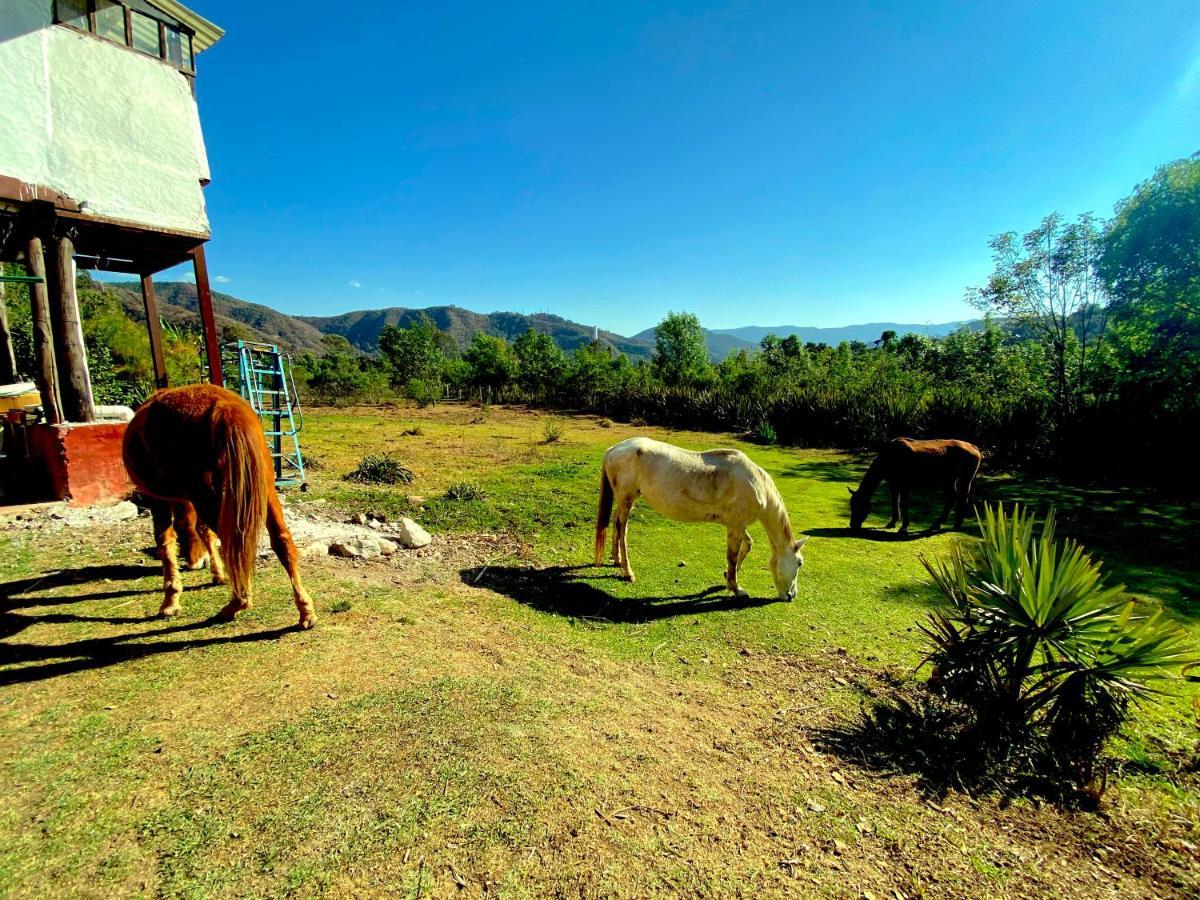 Rancho Reencuentro Eco & Cabalgatas * Valle de Bravo