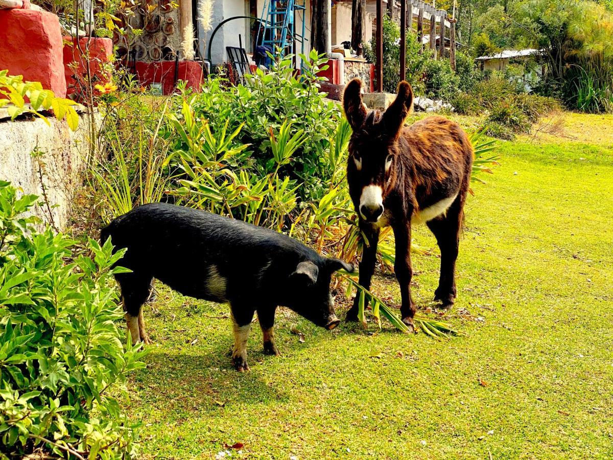 Rancho Reencuentro Eco & Cabalgatas Valle de Bravo