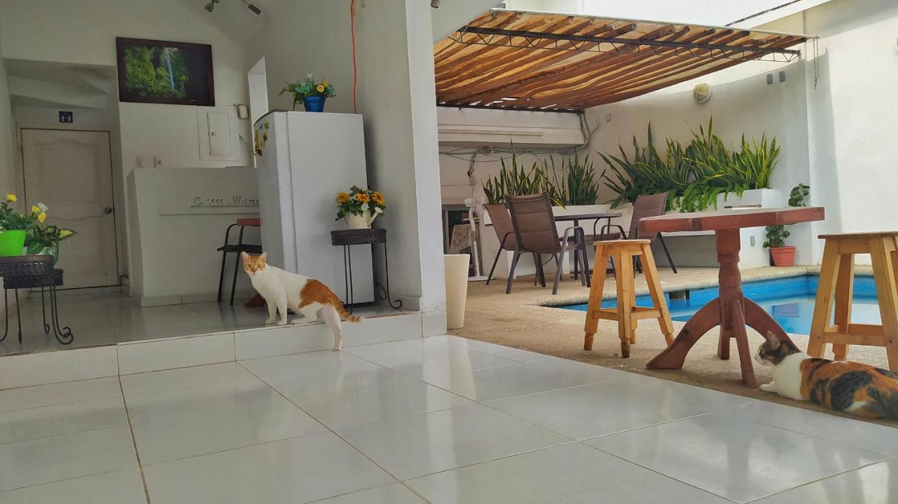 Casssa Vlanca Hotel 3*