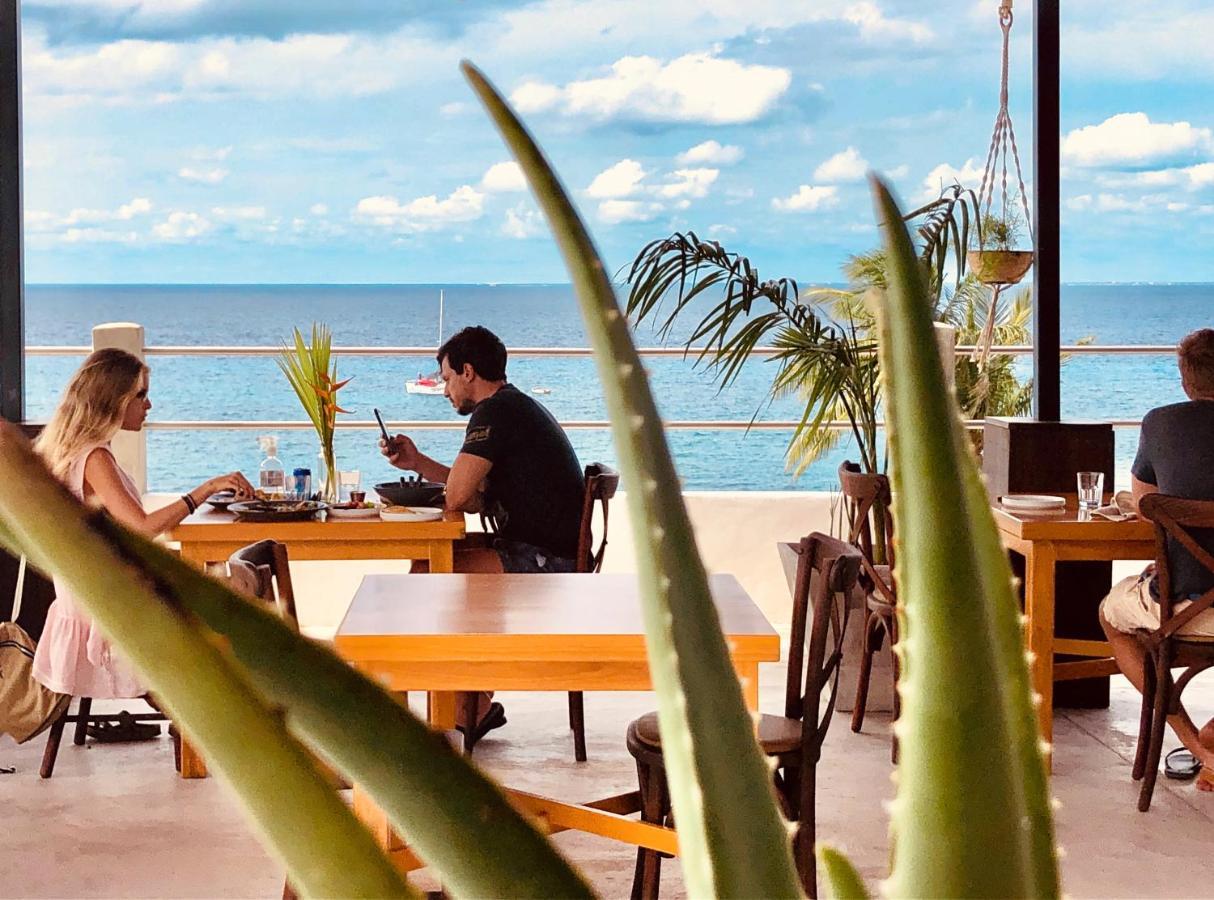 Albatros By Bedsfriends (adults Only) Cozumel