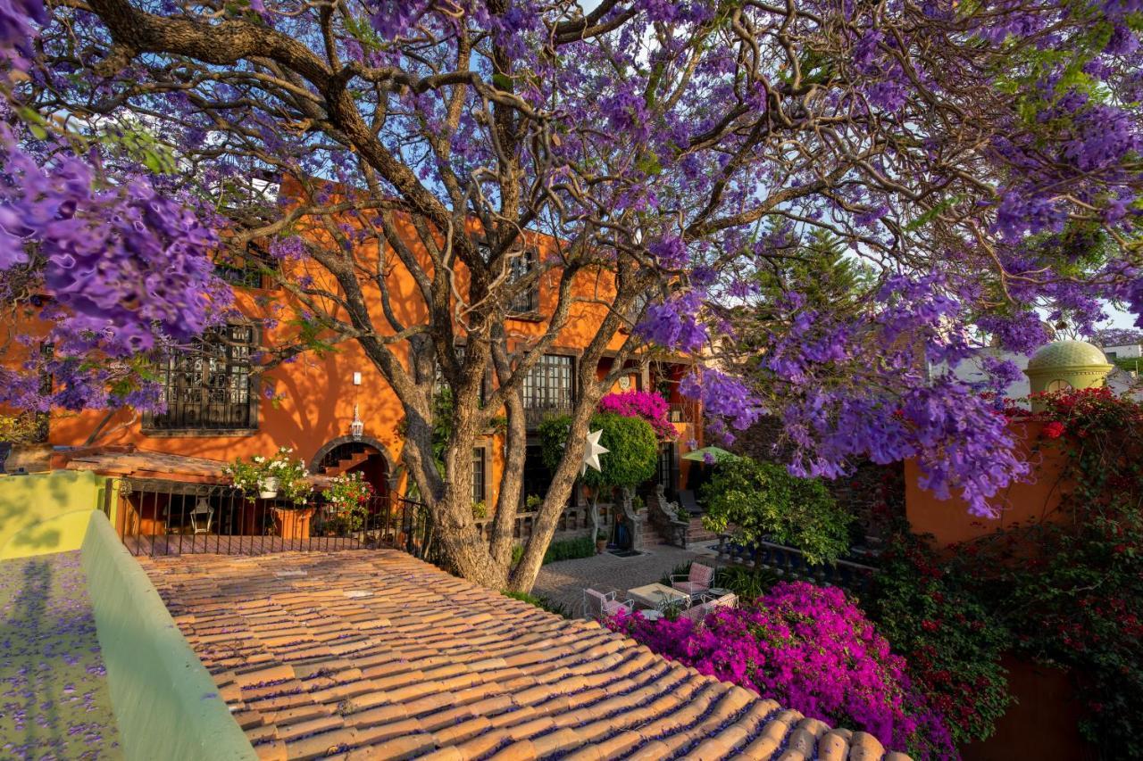Hotel Casa Schuck Boutique