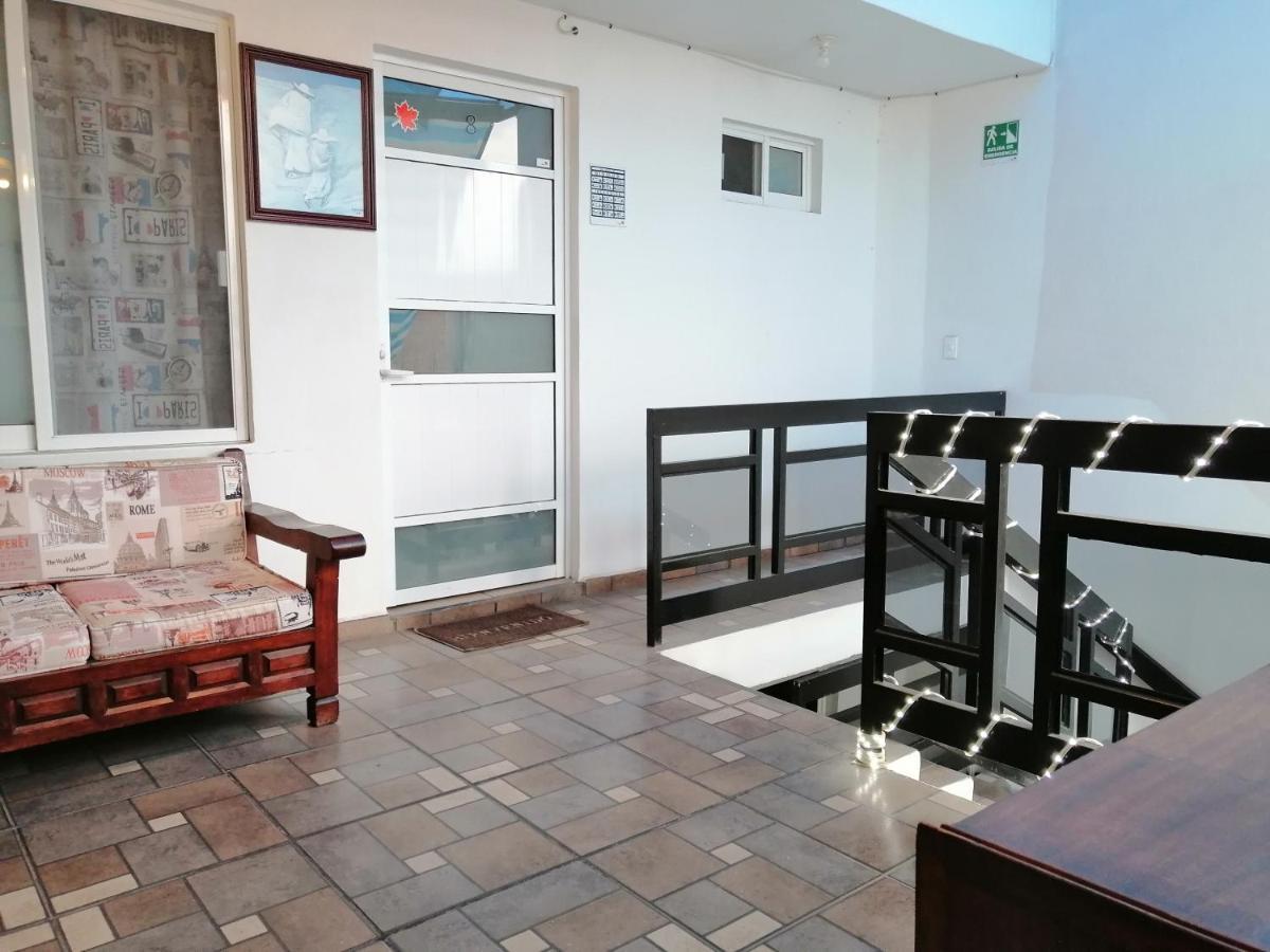 Maple Hostel