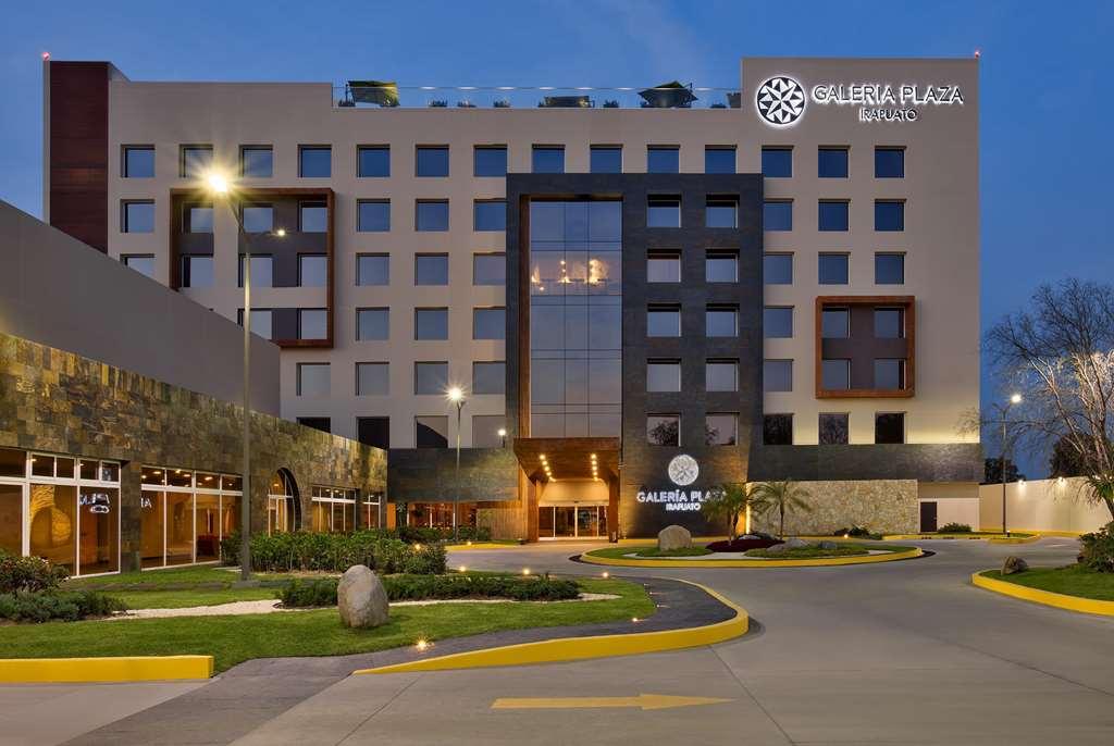 Hotel Galeria Plaza 5*