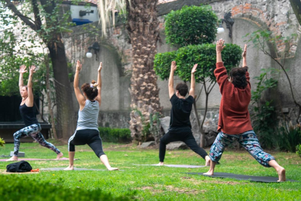 Casa Lulu Coyoacan Alvaro Obregon