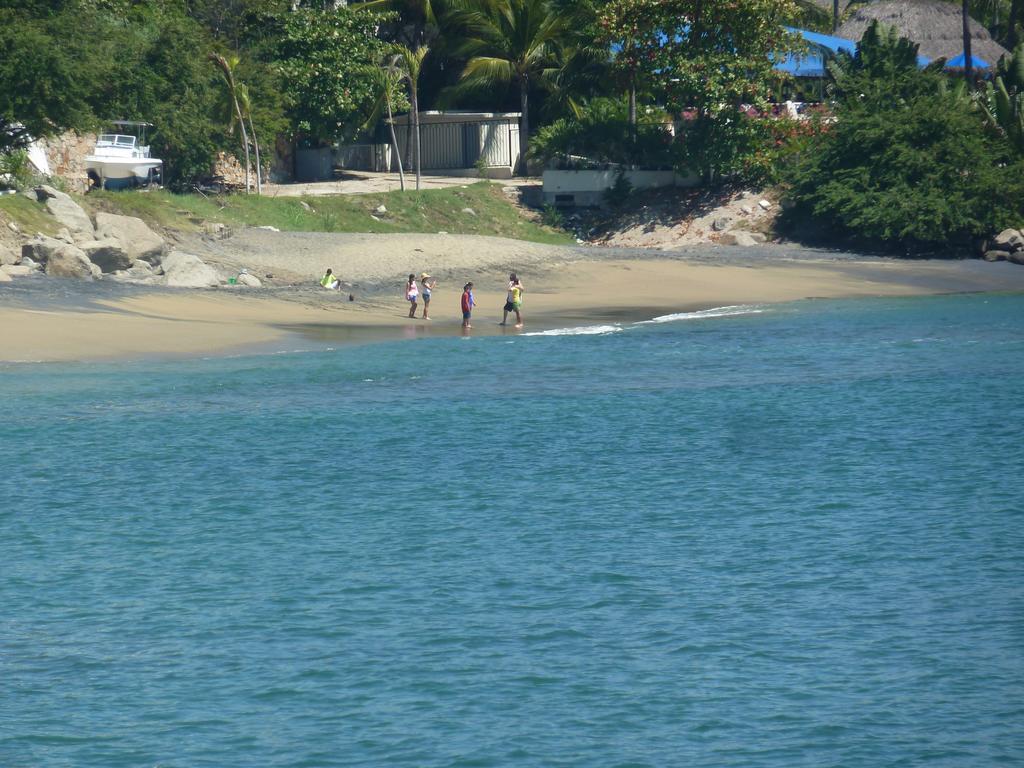 Dolphin Cove