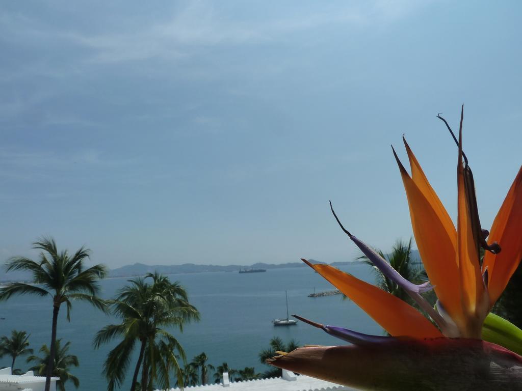 Dolphin Cove Aparthotel