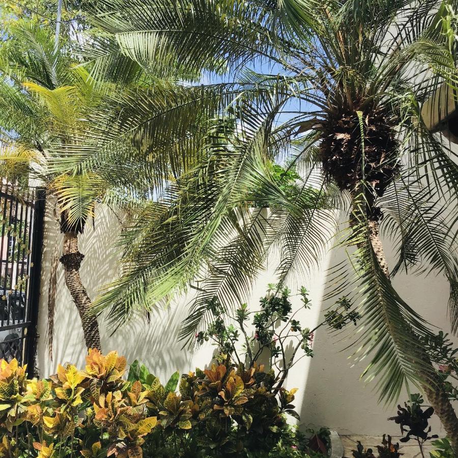 Pecari 3* Cancun