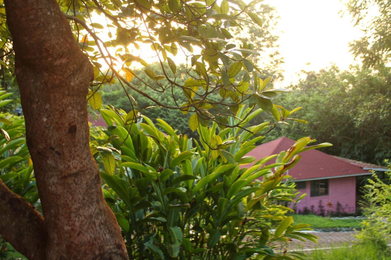 Lodge Winika Alterra Palenque