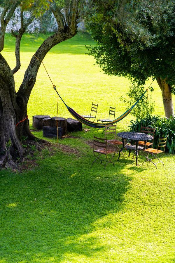 Hotel San Felipe 4*