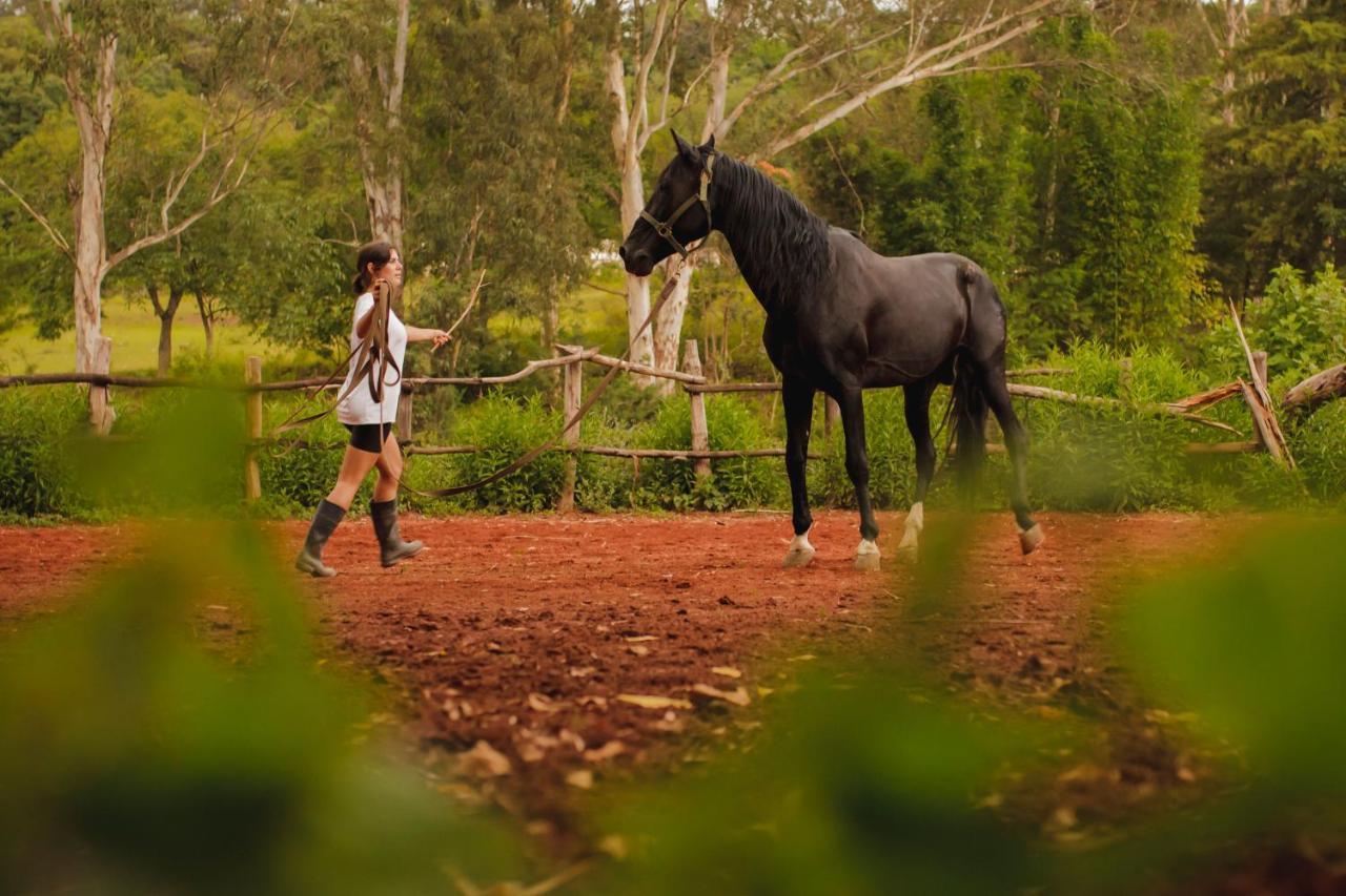 Hotel Rancho Reencuentro Eco & Cabalgatas
