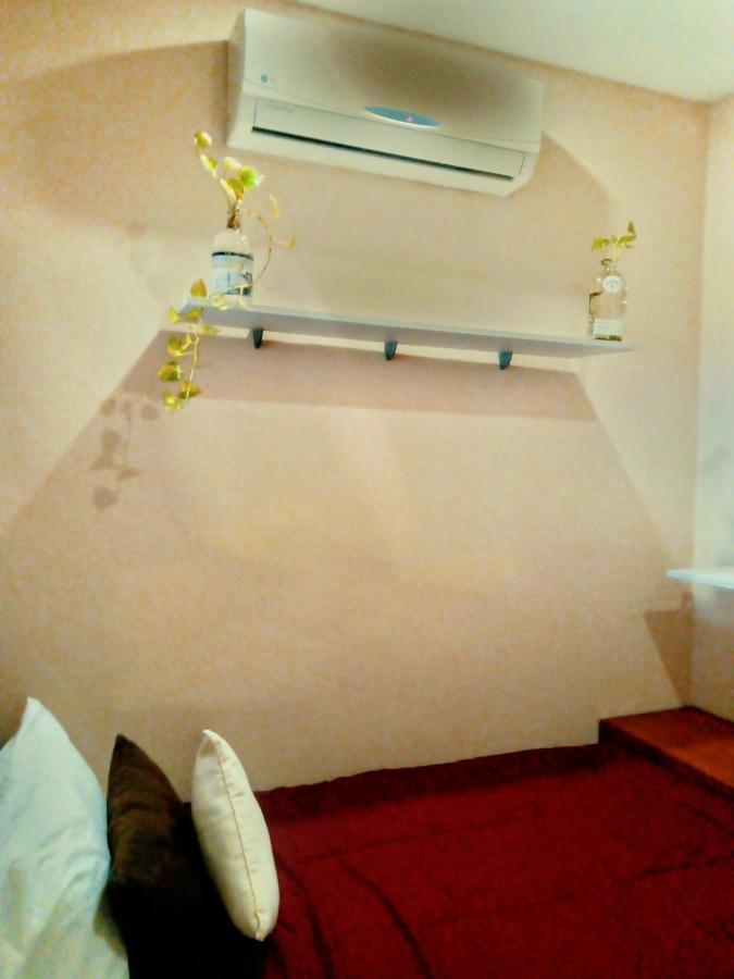 Bed & Breakfast Pecari 3*