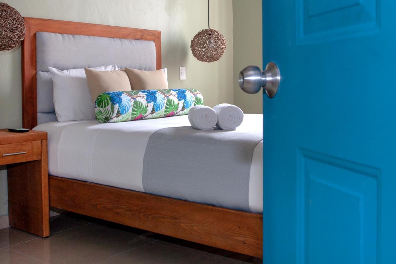 Hotel Albatros By Bedsfriends (adults Only)