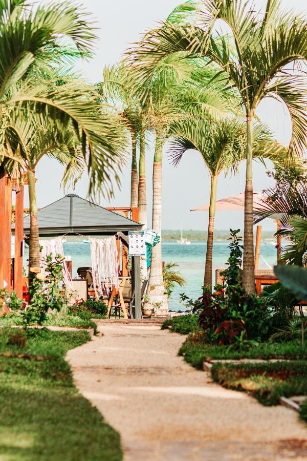Blue Bird Bacalar