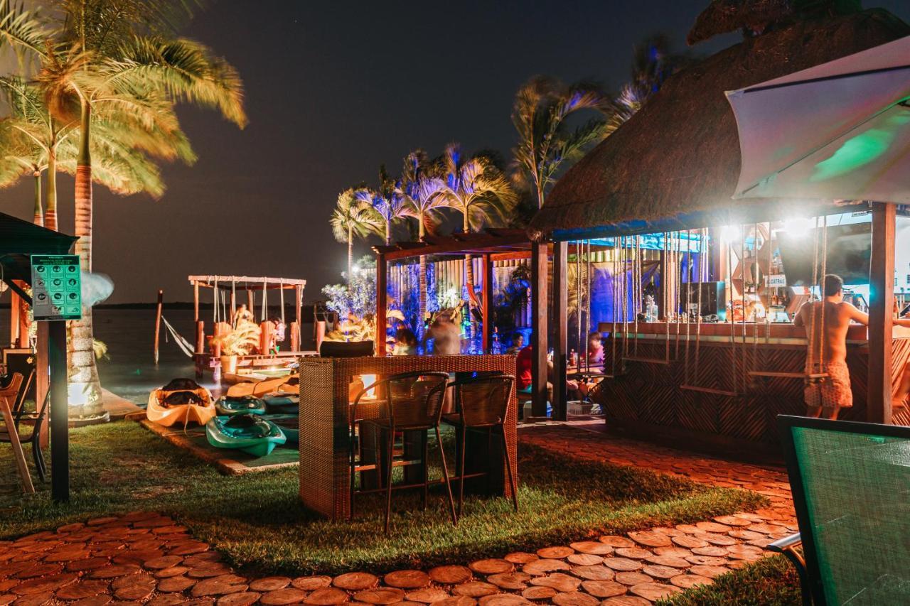 Blue Bird Bacalar