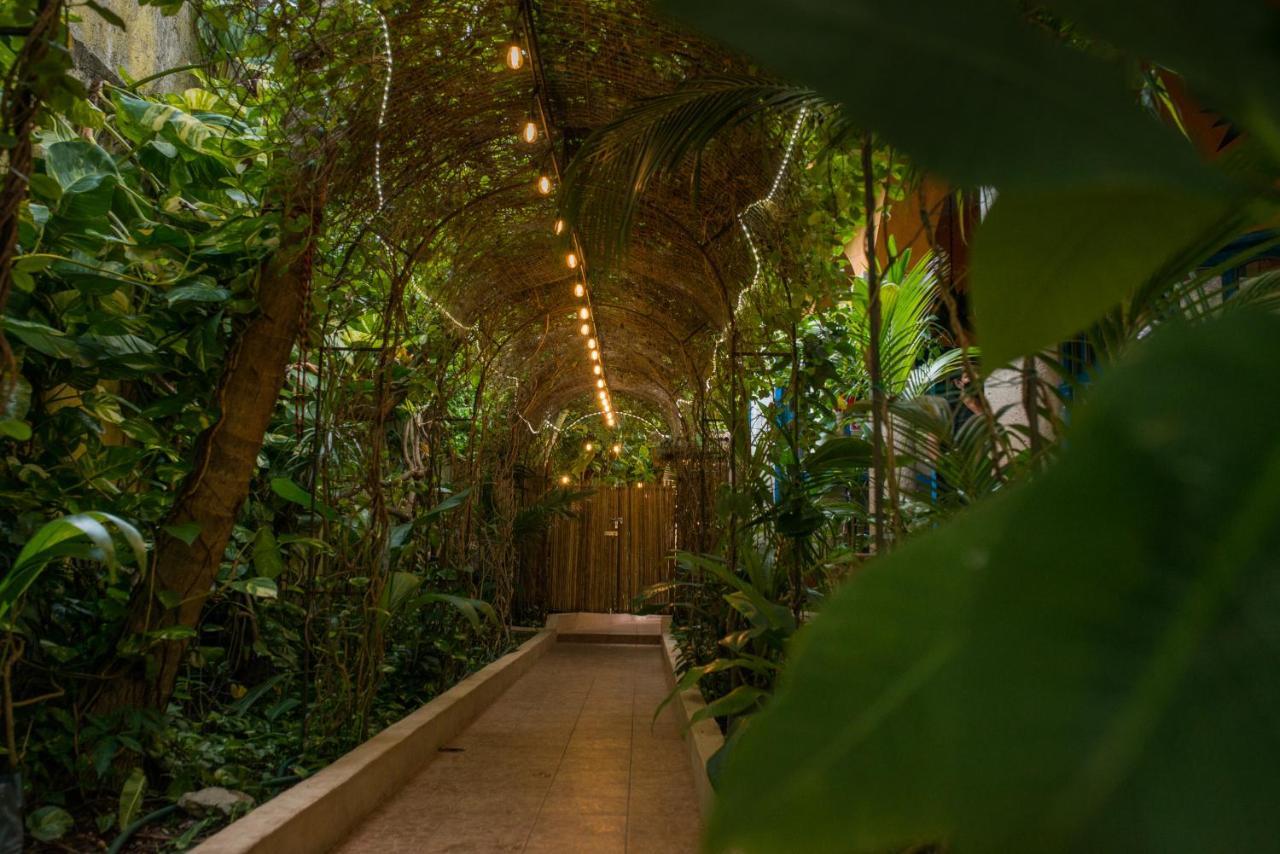 Bed & Breakfast Hacienda Boutique And Solo Adultos Cozumel
