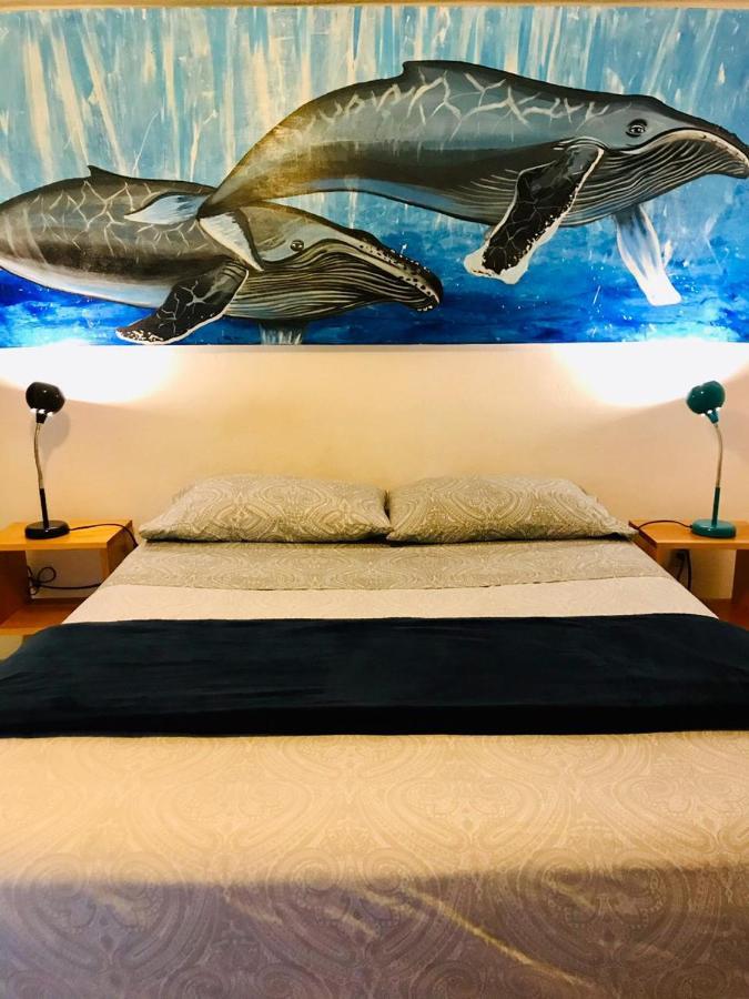 Hotel Senor Manana 3*