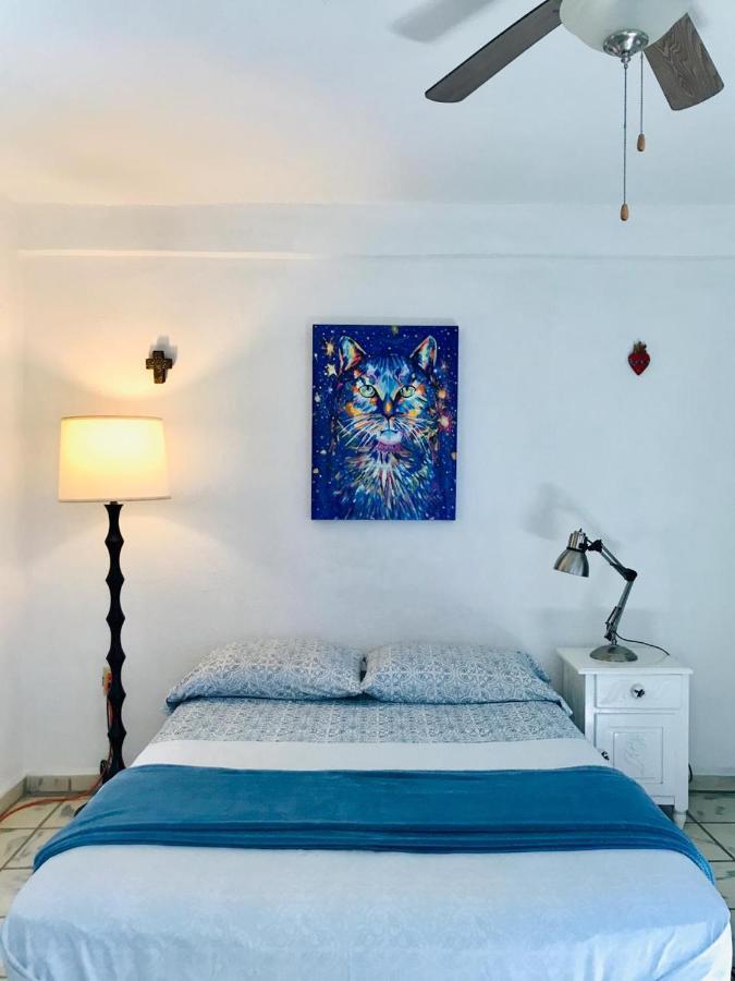 Hotel Senor Manana San Jose del Cabo
