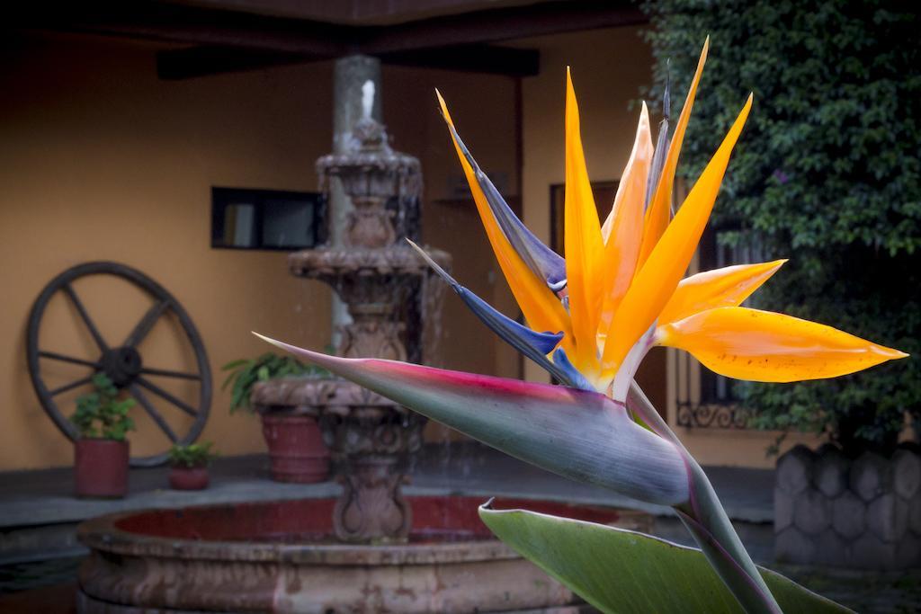 El Pueblito De Fortin Hotel Fortin de las Flores