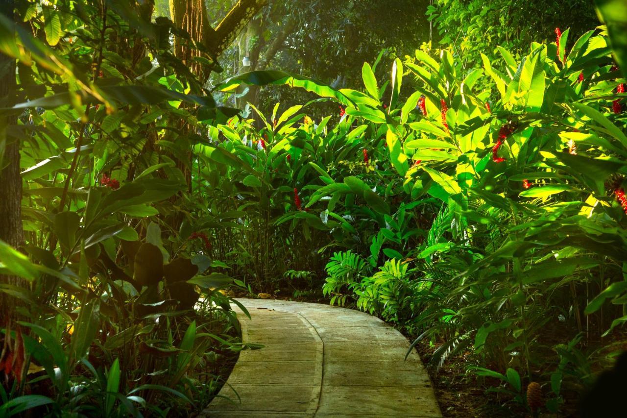 La Aldea Del Halach Huinic Palenque