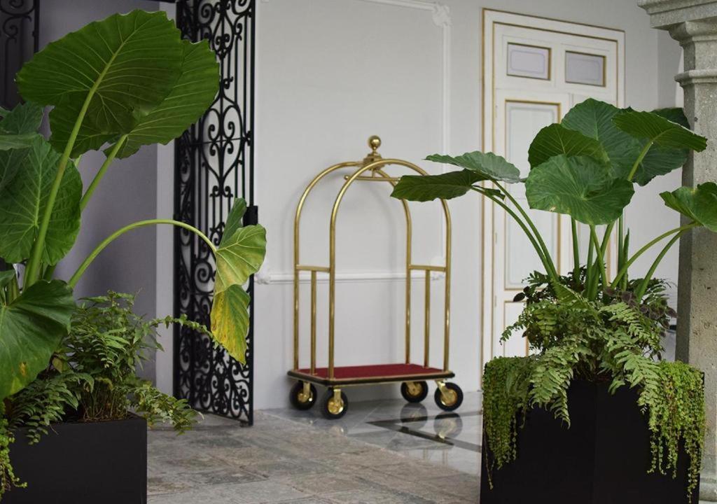 Hotel Casa Hidalgo Boutique 5*