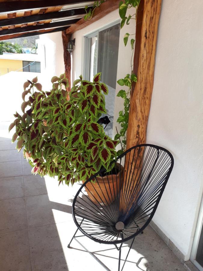 Guest house La Vivienda