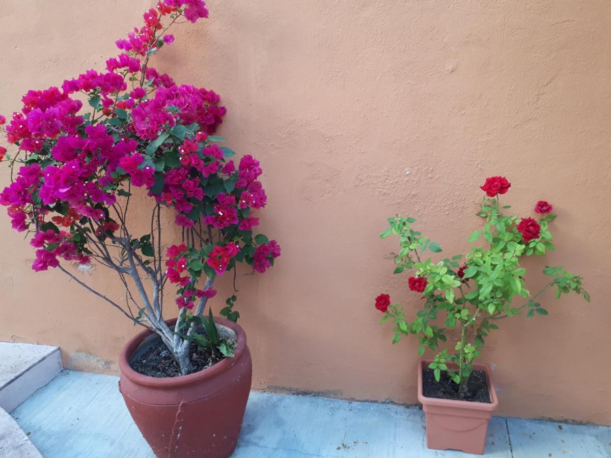 Guest house La Vivienda